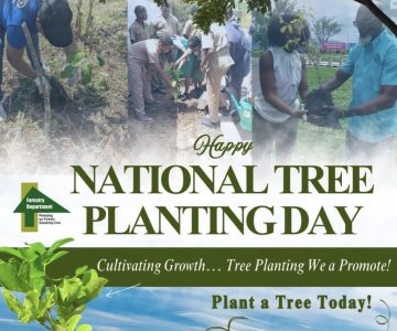 tree day