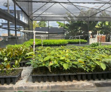 Forestry Dept