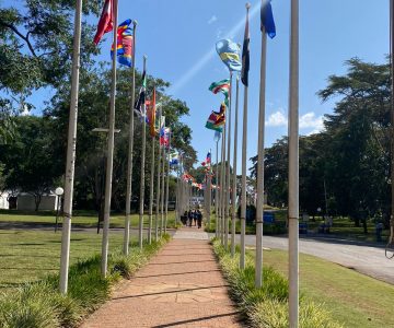 UNEA 50